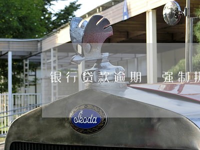 银行贷款逾期 强制执行 银行贷款逾期 强制执行